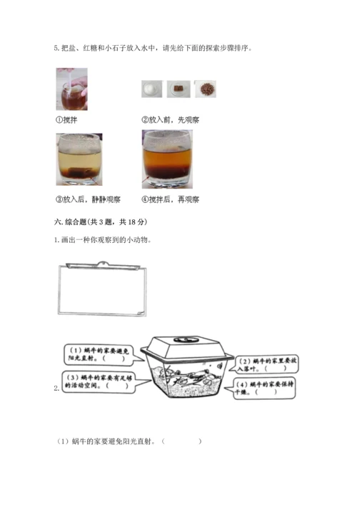 教科版一年级下册科学期末测试卷精品【突破训练】.docx