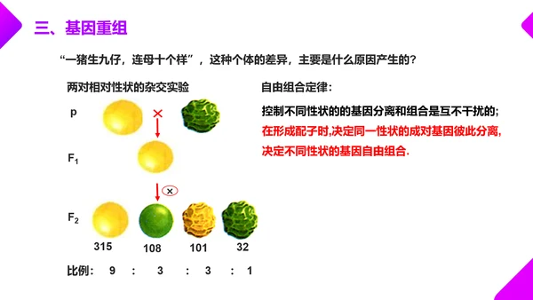 基因突变和基因重组初高中生物PPT课件