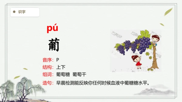 【2024秋季学期】语文二上  语文园地二  生字识记课件