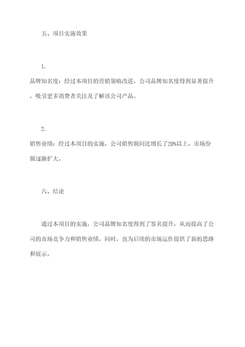 项目报告书写模板