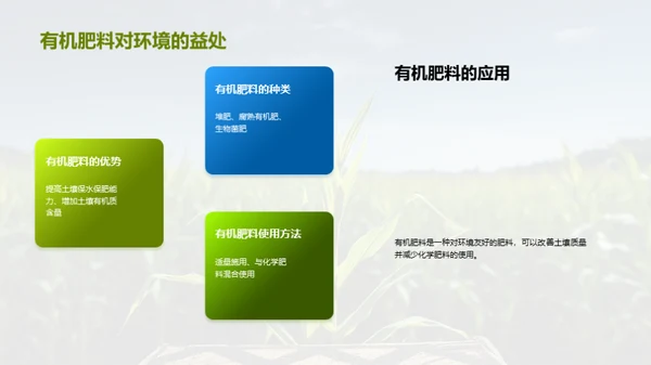 绿色农业：玉米种植新篇章