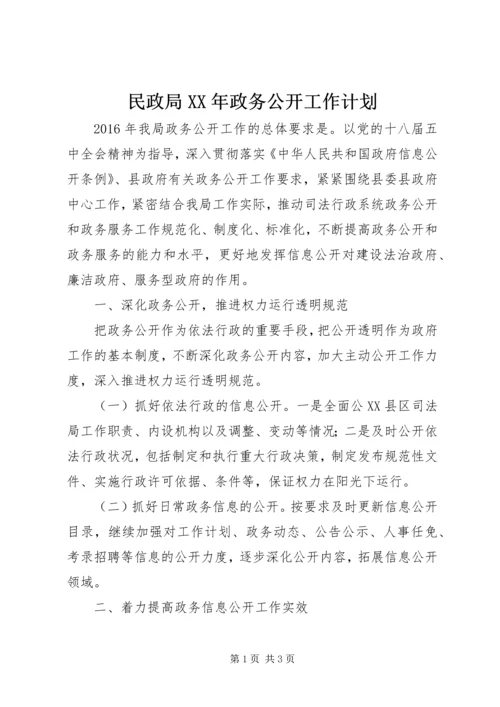 民政局XX年政务公开工作计划.docx