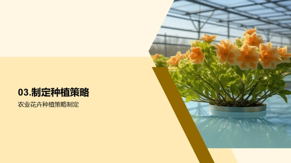 花卉产业：创新与策略