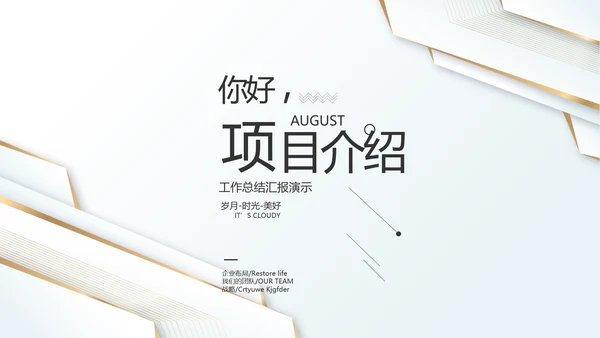 简约室内设计方案汇报工作总结PPT