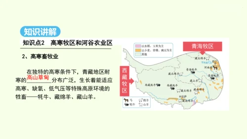 9.1 自然特征与农业（课件30张）- 人教版地理八年级下册