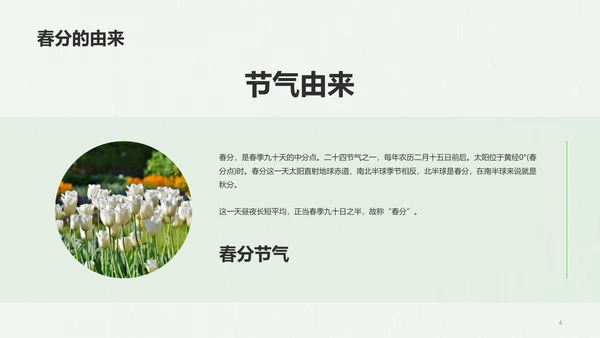 绿色简约插画二十四节气春分介绍PPT