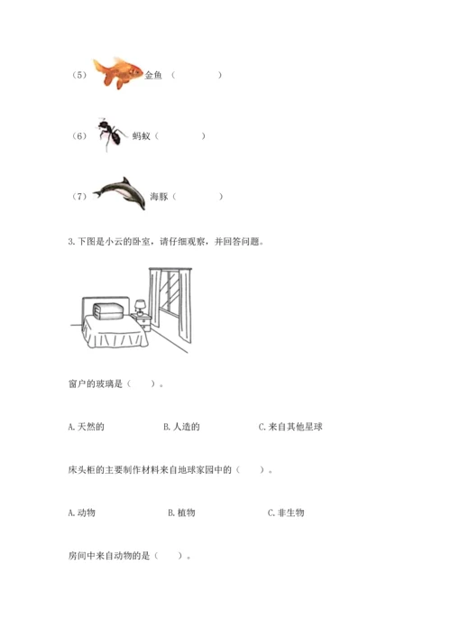 教科版二年级上册科学期末测试卷精编.docx