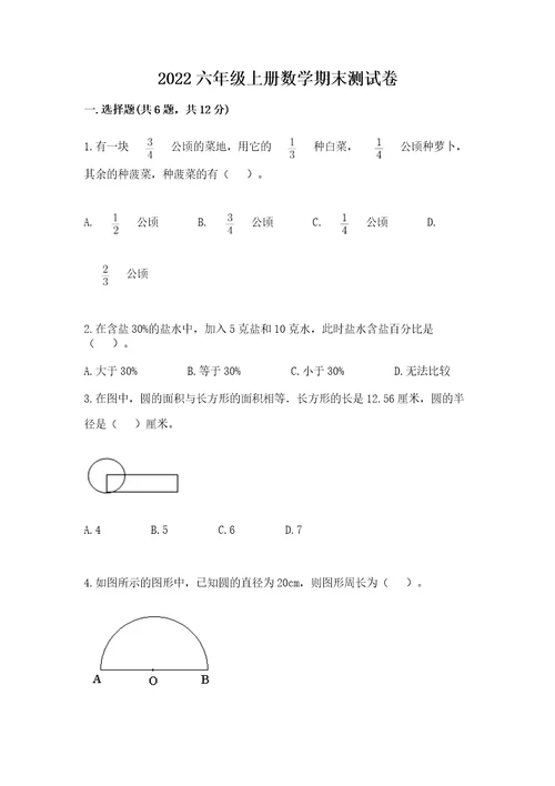 2022六年级上册数学期末测试卷附答案（夺分金卷）