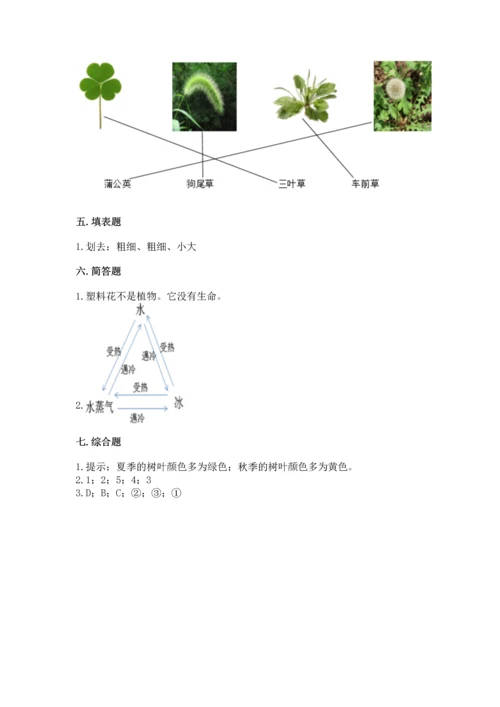 教科版科学一年级上册第一单元《植物》测试卷含答案（预热题）.docx