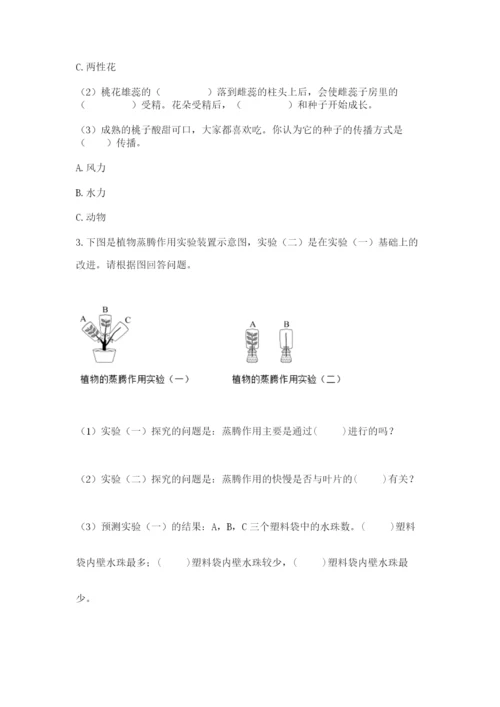 教科版四年级下册科学第一单元《植物的生长变化》测试卷精品【含答案】.docx