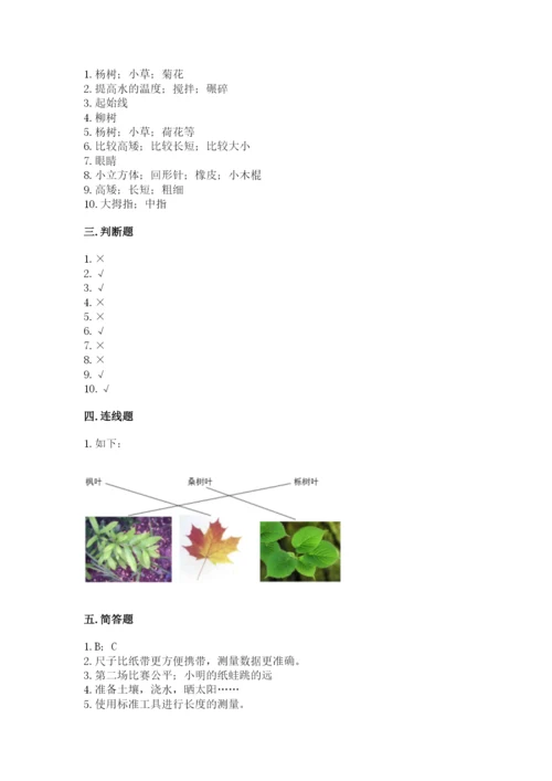 教科版一年级上册科学期末测试卷【典优】.docx