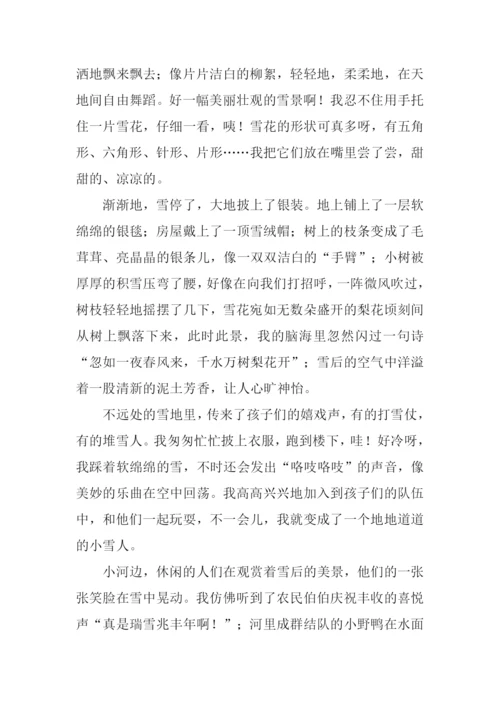 美丽的雪景作文800字.docx