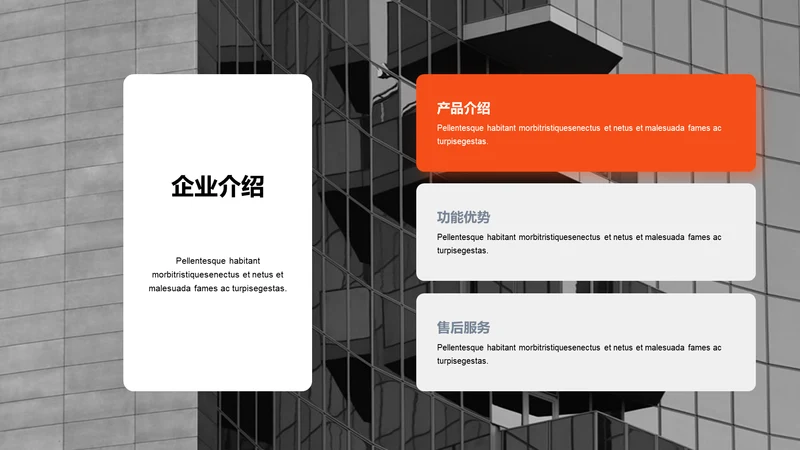 单色扁平3项企业介绍