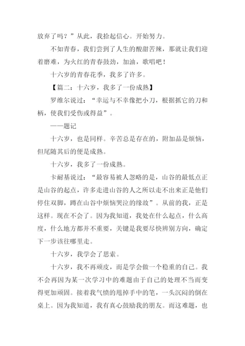 十六岁我多了一份什么作文.docx