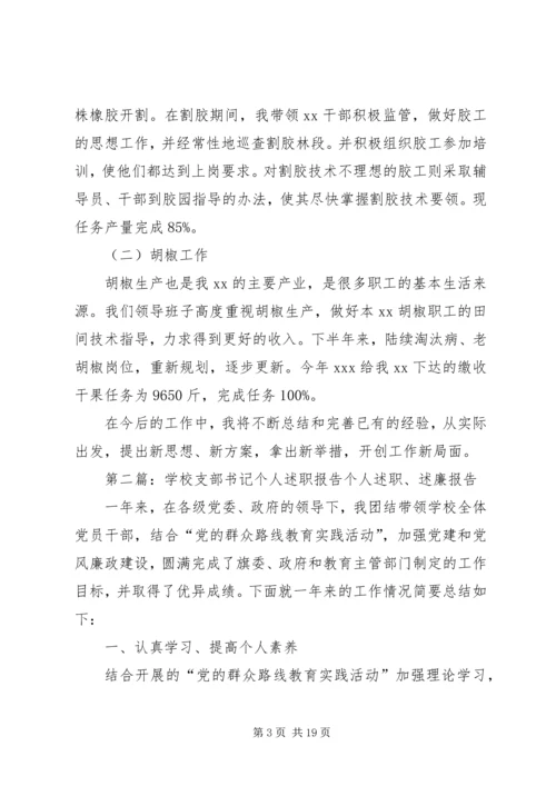 乡镇支部书记个人述职报告.docx