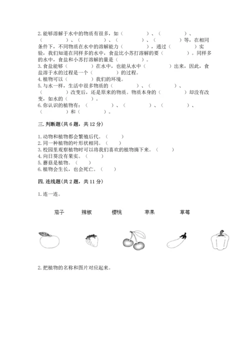 教科版科学一年级上册第一单元《植物》测试卷附完整答案（网校专用）.docx