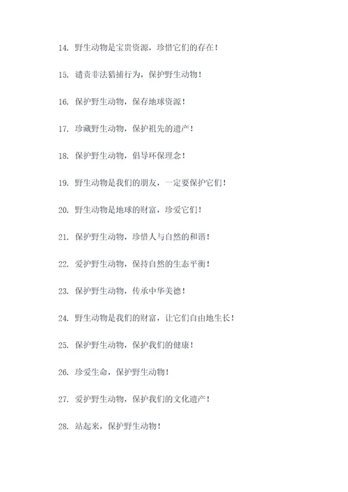 野生动物保护简短口号
