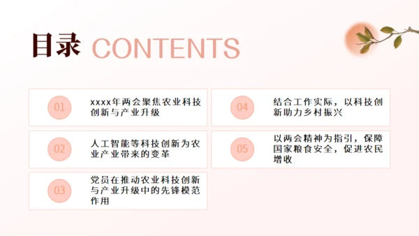 农业农村系统学习贯彻两会精神党课课件
