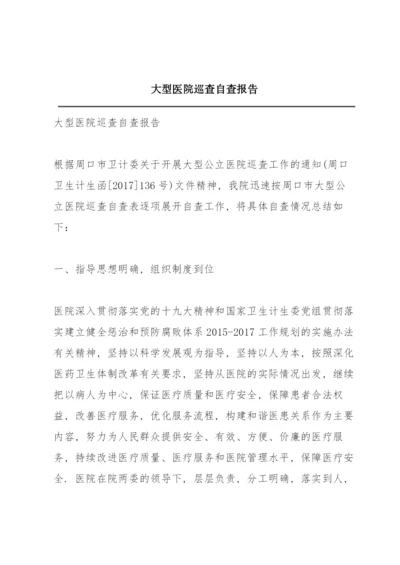 大型医院巡查自查报告.docx