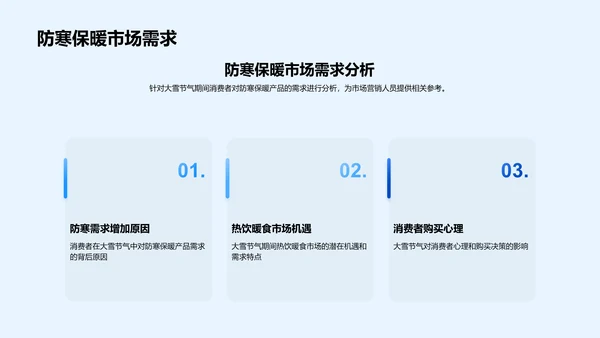 大雪营销策略报告PPT模板