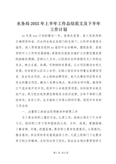 水务局20XX年上半年工作总结范文及下半年工作计划.docx