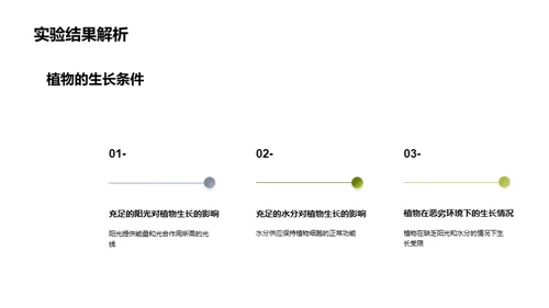 探索植物生长奥秘