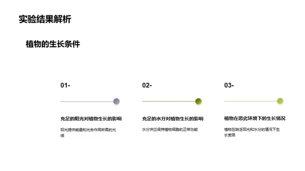 探索植物生长奥秘