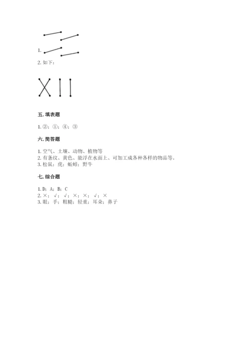 教科版小学二年级上册科学期末测试卷【word】.docx