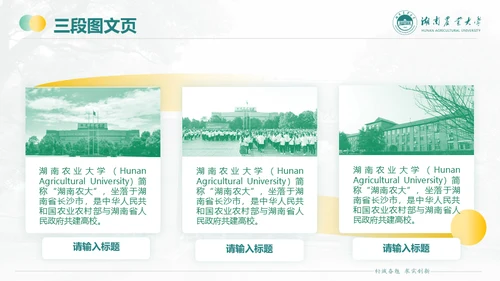湖南农业大学毕业课题答辩通用PPT模板