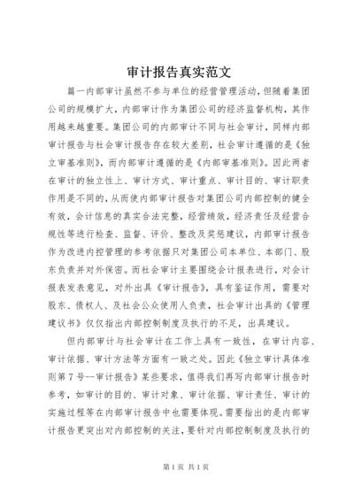 审计报告真实范文.docx