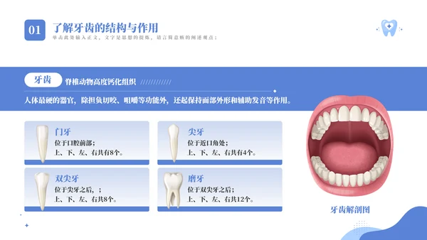 关爱牙齿健康卡通主题教育通用PPT模板