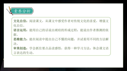 【核心素养】部编版语文四年级下册-5.琥珀 第2课时（课件）