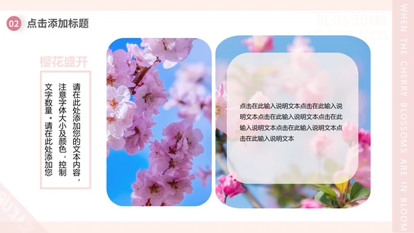 樱花画册粉色浪漫樱花季通用PPT模板