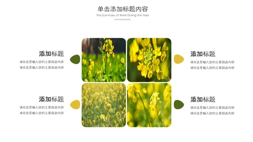 春天乡村旅游油菜花风景油菜花田PPT模板