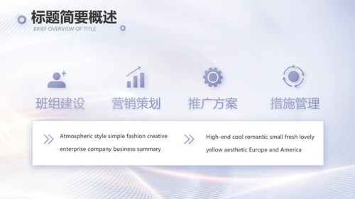 医美招商加盟工作总结动态PPT