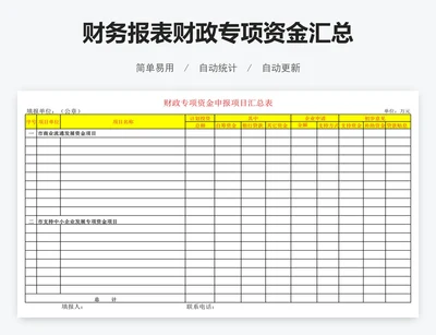 财务报表财政专项资金汇总