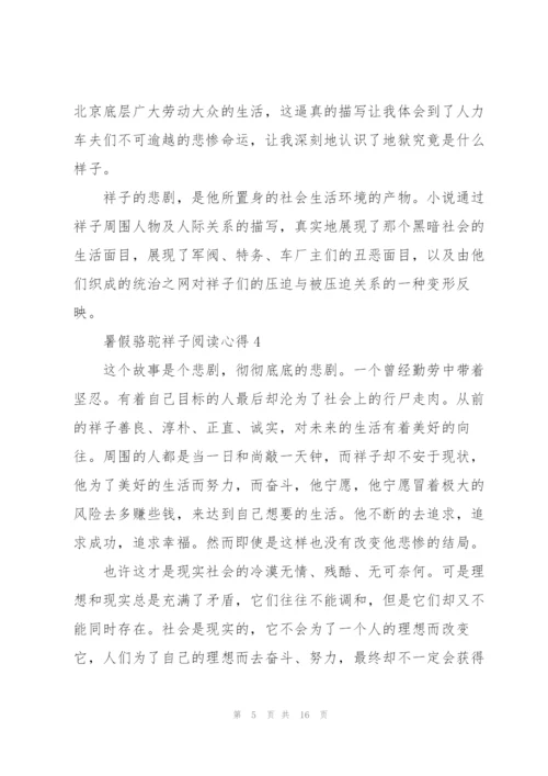 暑假骆驼祥子阅读心得10篇.docx