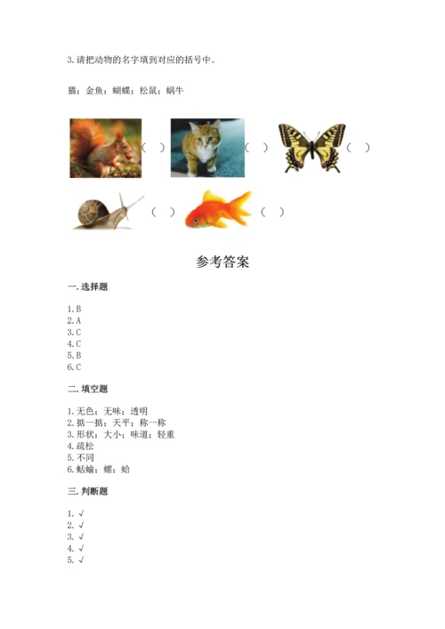 教科版一年级下册科学期末测试卷精品【巩固】.docx