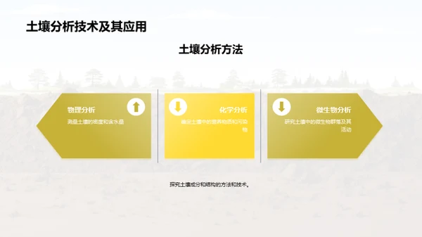 解析土壤工程的秘密