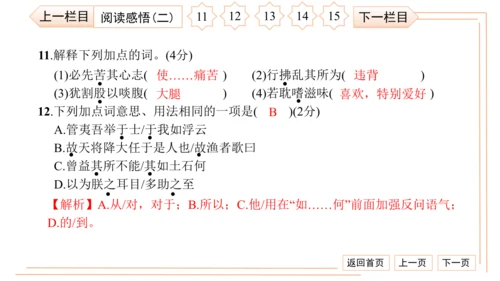 统编版八上语文第二次月考综合检测卷 习题课件（41张PPT）