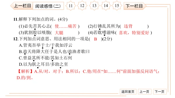 统编版八上语文第二次月考综合检测卷 习题课件（41张PPT）