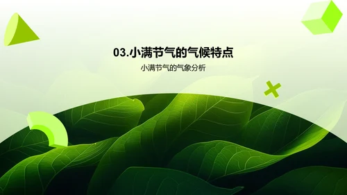 小满节气解析PPT模板