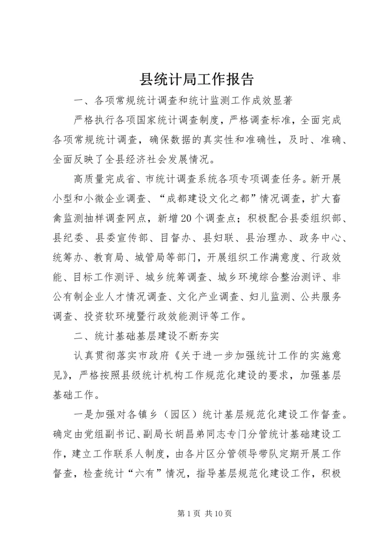 县统计局工作报告 (5).docx