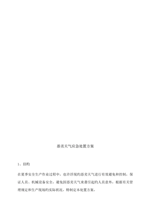 极端天气应急处置专题方案.docx