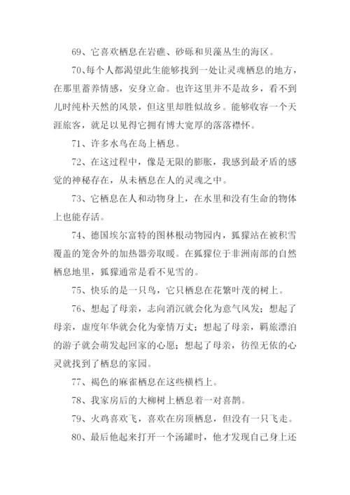 栖息的近义词是什么.docx
