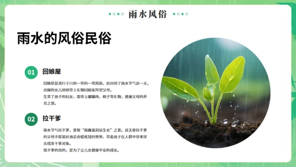 雨水节气燕子元素通用PPT绿色模板