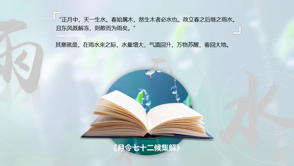 春天雨水绿叶晨露二十四节气通用PPT课件