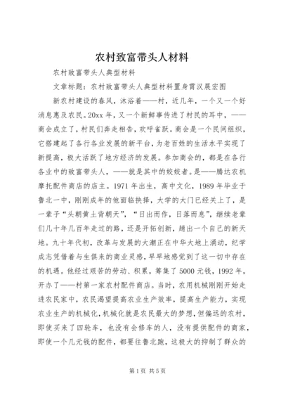 农村致富带头人材料 (4).docx