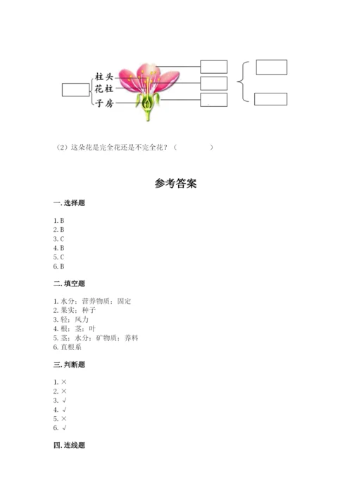 科学四年级下册第一单元《植物的生长变化》测试卷含完整答案【夺冠系列】.docx