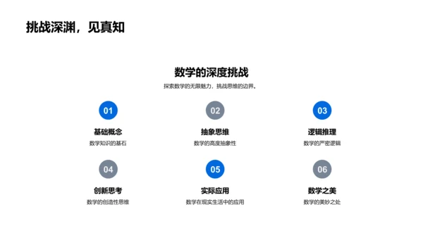 数学：理解与应用